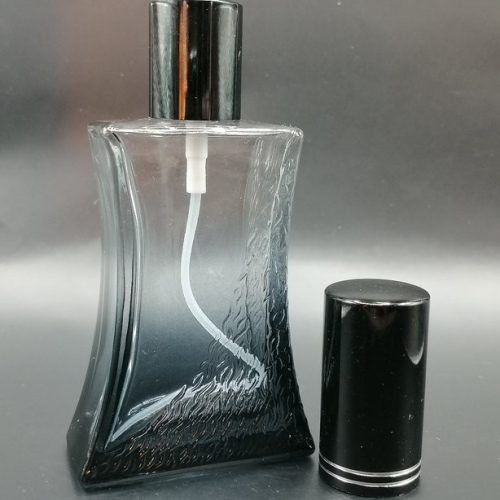 Mens Perfume 50ml + travel companion